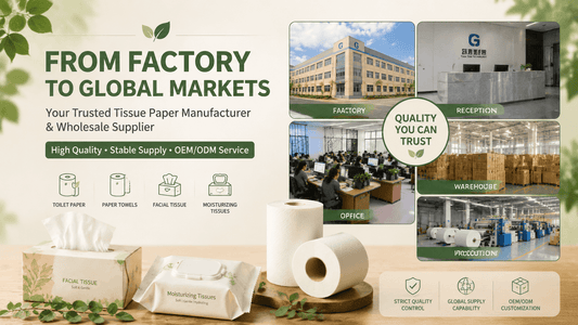 From Factory to Global Markets: A Trusted Manufacturer of Toilet Paper, Paper Towels & Facial Tissue